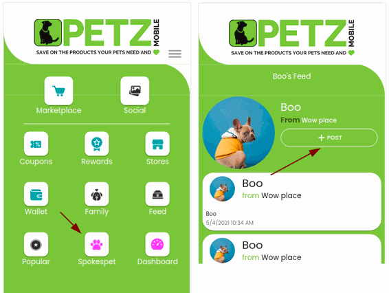 Odoo • Image and Text