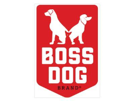 Boss Dog