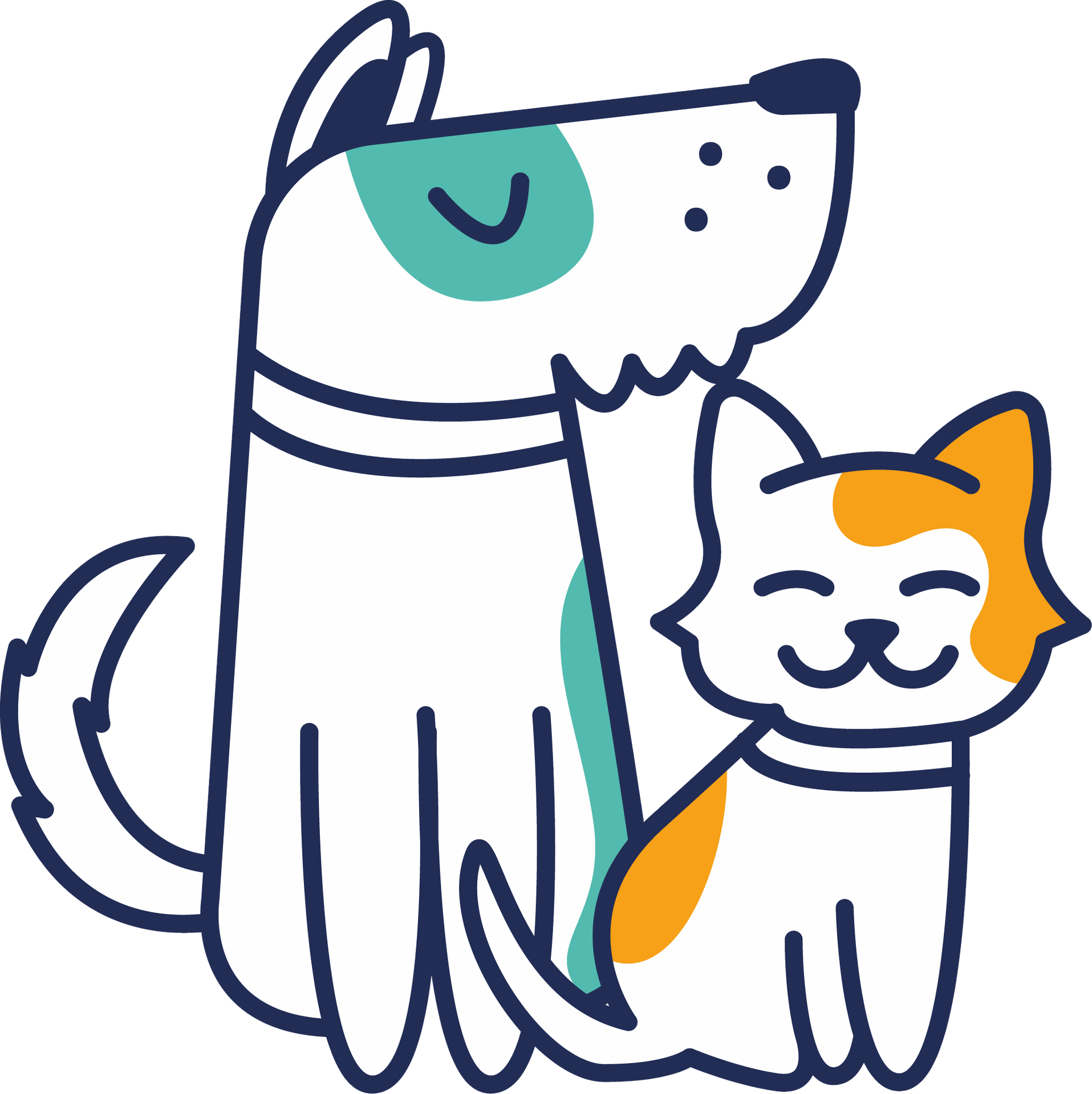 petz-brand-demo | PETZ